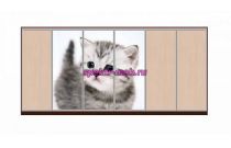 Шкаф-купе Лайн 40