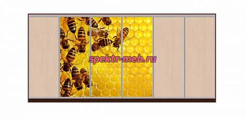 Шкаф-купе Мёд 38