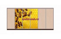 Шкаф-купе Мёд 38