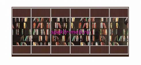 Шкаф-купе Кникс 3