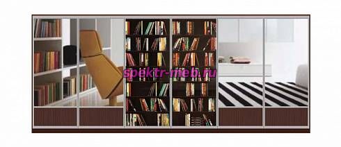Шкаф-купе Книжный 1