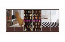 Шкаф-купе Книжный 1