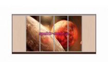 Шкаф-купе Планета 9