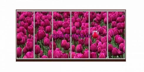 Шкаф-купе Блоссом 27