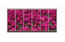 Шкаф-купе Блоссом 27