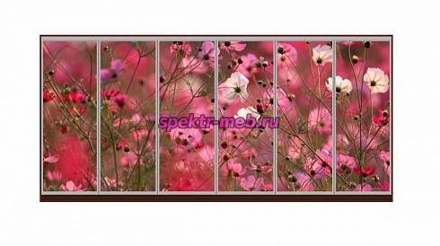 Шкаф-купе Блоссом 70