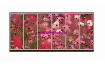 Шкаф-купе Блоссом 70