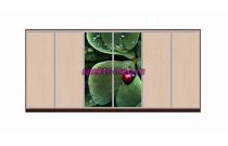 Шкаф-купе Природа 4