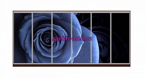 Шкаф-купе Блоссом 42