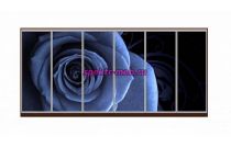 Шкаф-купе Блоссом 42