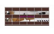 Шкаф-купе Зеро 5