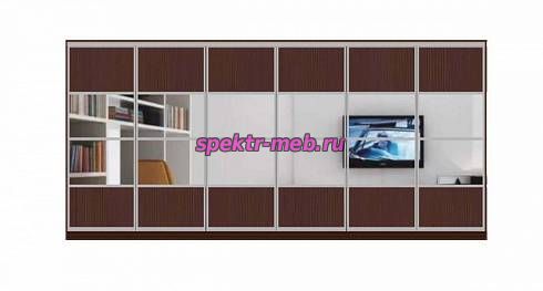 Шкаф-купе Молли 3