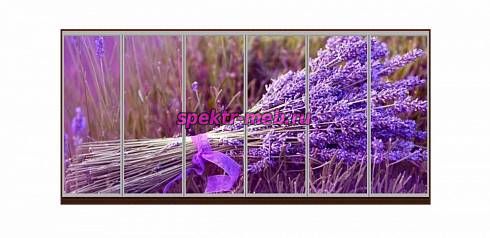 Шкаф-купе Лаванда 39