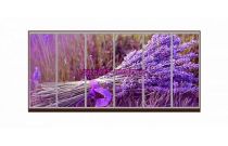 Шкаф-купе Лаванда 39