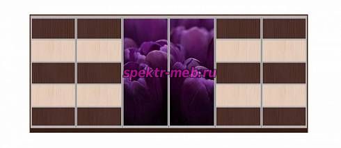 Шкаф-купе Тюльпан 19