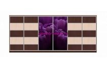 Шкаф-купе Тюльпан 19