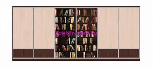 Шкаф-купе Кникс 2