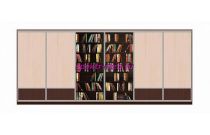 Шкаф-купе Кникс 2