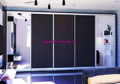 Шкаф-купе ШК-0985