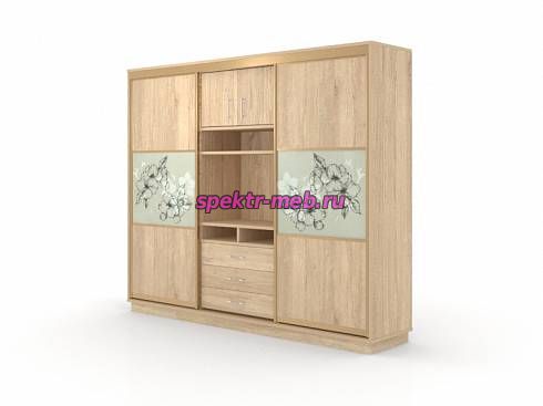 Шкаф-купе Цветы 6