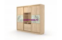 Шкаф-купе Цветы 6