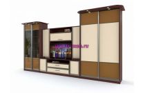 Двойной шкаф-купе Хьюстон 31