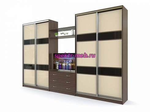 Шкаф-купе Парнас 4