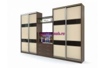 Шкаф-купе Парнас 4