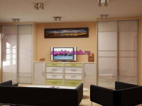 Шкаф купе TV-18-1