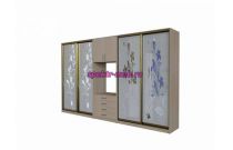 Шкаф-купе двойной Интер 5 S-197