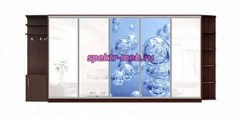 Шкаф-купе Вода 50
