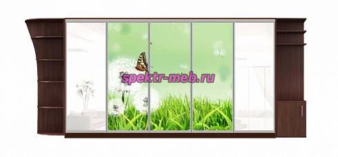 Шкаф-купе Флора 36