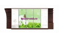 Шкаф-купе Флора 36