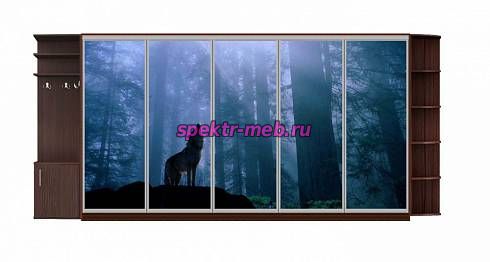 Шкаф-купе Форест 36