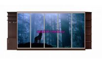 Шкаф-купе Форест 36