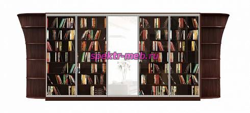 Шкаф-купе Зеро 1