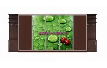 Шкаф-купе Кора 34