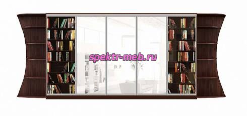 Шкаф-купе Майло 3.5У