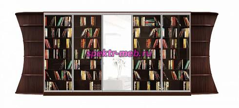 Шкаф-купе Зеро 1.1