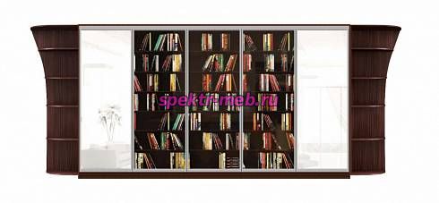 Шкаф-купе Бум 2