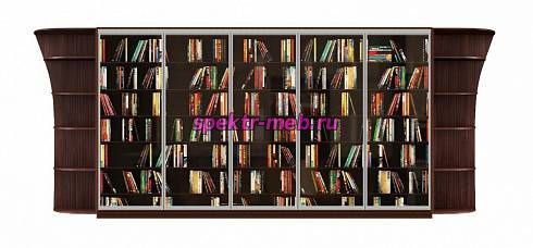 Шкаф-купе Лайна 2У