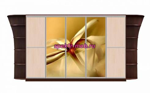 Шкаф-купе Каролина 17