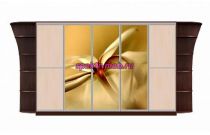 Шкаф-купе Каролина 17