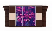 Шкаф-купе Каролина 15