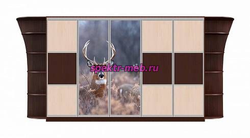 Шкаф-купе Мираж 12