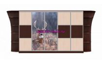 Шкаф-купе Мираж 12