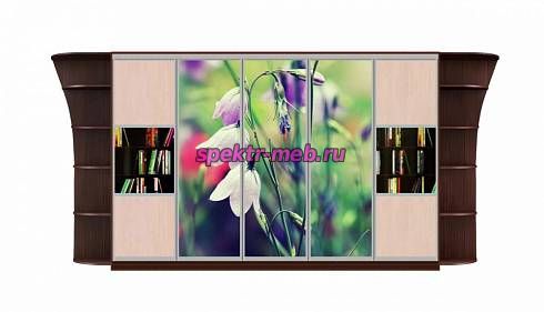Шкаф-купе Каролина 14