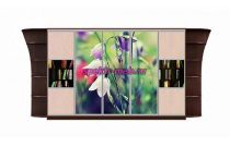 Шкаф-купе Каролина 14