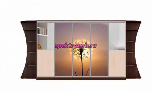 Шкаф-купе Мираж 11