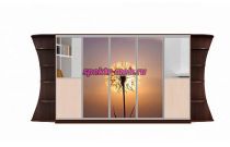 Шкаф-купе Мираж 11